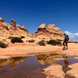 Seeking Treasure Adventures