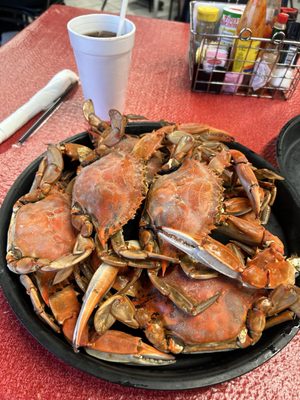 Seafood Palace by null