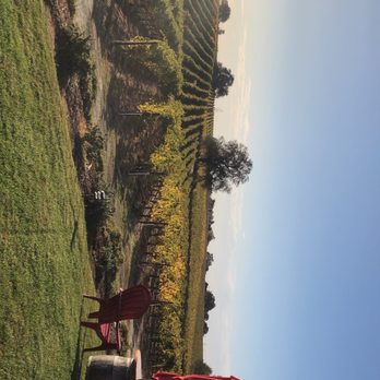 Bokisch Vineyards - Views - Wine Tasting Room Near Me - Lodi, California