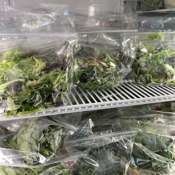 Carpenter's Farm Enterprises - Fresh greens. - Farms Near Me - Wakefield, Rhode Island