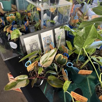 Lōkahi Kailua Market - Farmers Market Near Me - Kailua, Hawaii