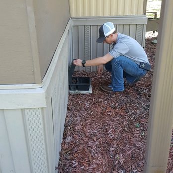 Capital City Pest Control - Rodent Control - Pest Control Near Me - Tallahassee, Florida Capital City Pest Control - Rodent Control - Pest Control Near Me - Tallahassee, Florida