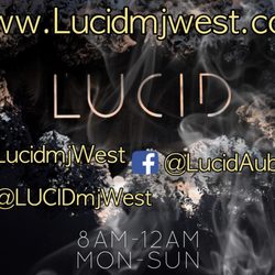 LUCID Auburn - Check us out!