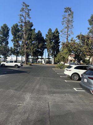 Komala Vilas by null