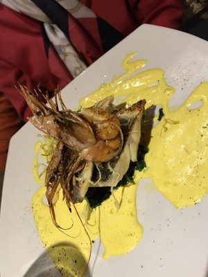 Terra di Vino by null