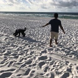 Pensacola Dog Beach East
