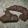 Photo of Florida Coach Trader
