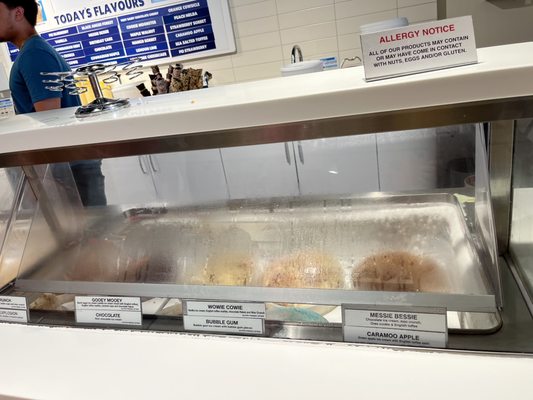 COWS Niagara-On-The-Lake by null