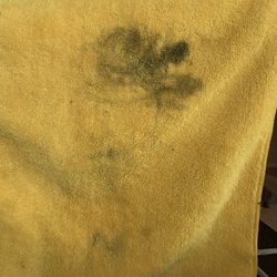 Union 76 - Got done with a car wash here and this was left over.
