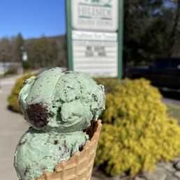 Mint ice cream cone Mint ice cream cone