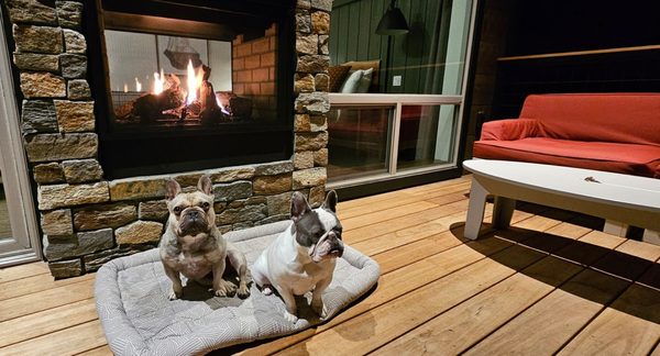 Firefall Ranch at Yosemite by null