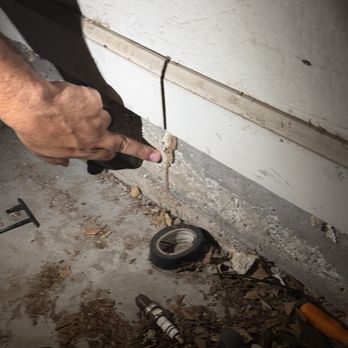 Panda Pest Control - Pest Control Near Me - Mesa, Arizona Panda Pest Control - Pest Control Near Me - Mesa, Arizona