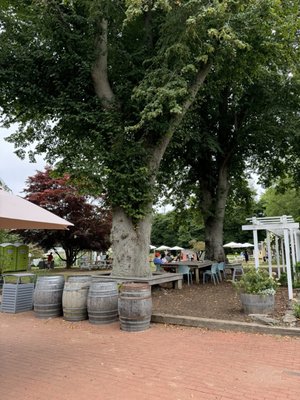 Amber Waves Farm, Market & Cafe by null