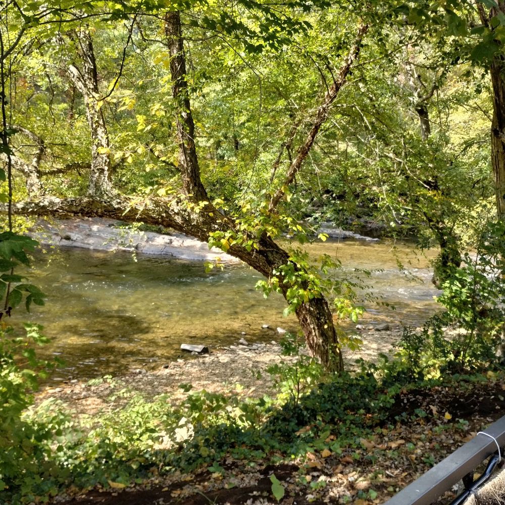 Qualla Java Cafe - River view - Cafes Near Me - Cherokee, North Carolina Qualla Java Cafe - River view - Cafes Near Me - Cherokee, North Carolina