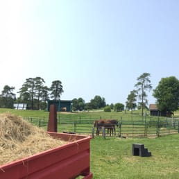 Beautiful farm with beautiful trial Beautiful farm with beautiful trial