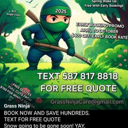 Grass Ninja