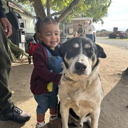 Farm dog and my baby