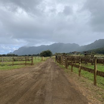 Kipu Ranch Adventures - Tours Near Me - Lihue, Hawaii Kipu Ranch Adventures - Tours Near Me - Lihue, Hawaii