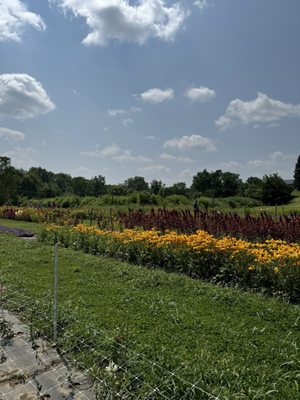 Wilson's Orchard & Farm (Iowa City) by null