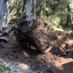 Twin Tree Service