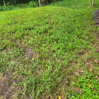 A New Start Lawn Service - Lawn Services Near Me - Jacksonville, Florida A New Start Lawn Service - Lawn Services Near Me - Jacksonville, Florida