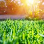 Green Up Turf Care