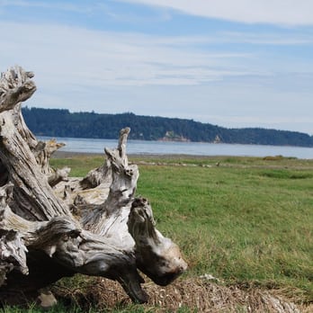 Dosewallips State Park - The clam flats and elk grazing area - Parks Near Me - Brinnon, Washington