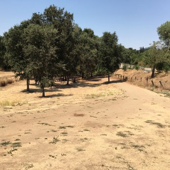 Stillman Magee Park - Road down to the river - Tubing Near Me - Clements, California