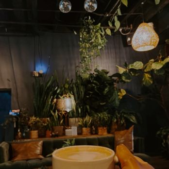 The Greenery: Coffe + Social Space - Coffee & Tea Near Me - Lexington, Kentucky The Greenery: Coffe + Social Space - Coffee & Tea Near Me - Lexington, Kentucky