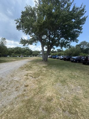 Wingaersheek Beach by null