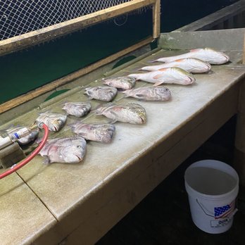 Big John’s Fishing Guide - Fishing Near Me - Port Isabel, Texas Big John’s Fishing Guide - Fishing Near Me - Port Isabel, Texas