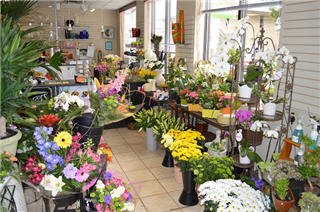 Vernon Flower Shop by null