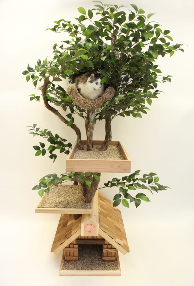 Pet Tree Houses Image