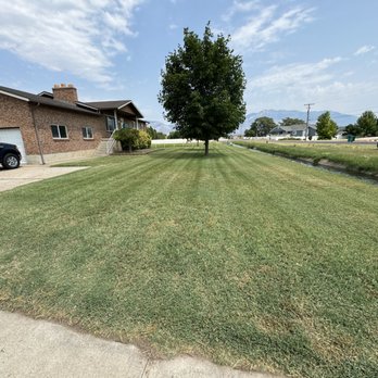 All Pros Tree Service - Fresh cut lawn - Tree Services Near Me All Pros Tree Service - Fresh cut lawn - Tree Services Near Me