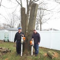 Arborist Care Tree Service - tree service in Columbus, OH