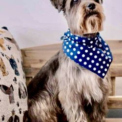 Towne Line Veterinary Group