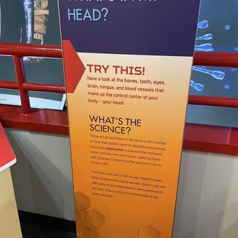 Kamin Science Center - Museums Near Me - Pittsburgh, Pennsylvania Kamin Science Center - Museums Near Me - Pittsburgh, Pennsylvania