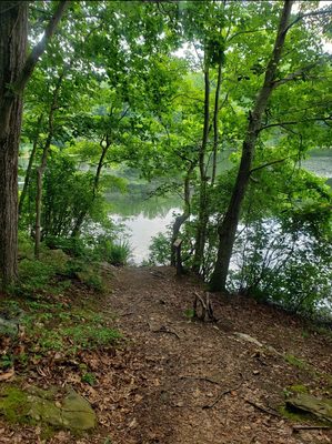 Cranberry Lake Preserve by null