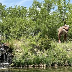 Lee G. Simmons Conservation Park & Wildlife Safari - T-Rex o no