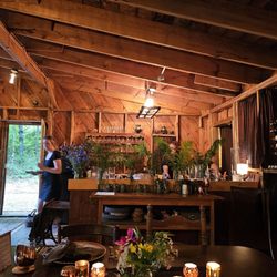 Rooted - Bar