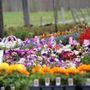 Photo of Farmside Gardens & Florist