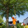 Photo of Campbell's landscape services