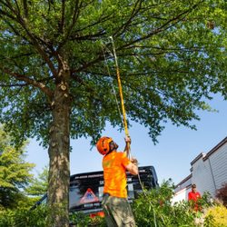 Campbell's landscape services