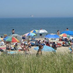 Old City Cab of Delaware - Conde of Old City Cab of Delaware has no problem with beach traffic!