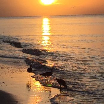 Select Vacation Properties - Beach at Pine Cove - Vacation Rentals Near Me - Sanibel, Florida Select Vacation Properties - Beach at Pine Cove - Vacation Rentals Near Me - Sanibel, Florida
