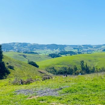 Helen Putnam Regional Park - The hills are alive - Hiking Near Me - Petaluma, California Helen Putnam Regional Park - The hills are alive - Hiking Near Me - Petaluma, California