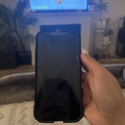 iChihuahua Repair - Perfect screen