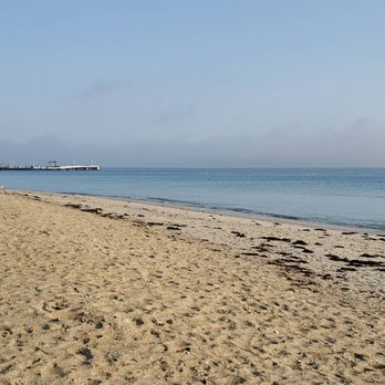 The Inkwell - Beaches Near Me - Oak Bluffs, Massachusetts