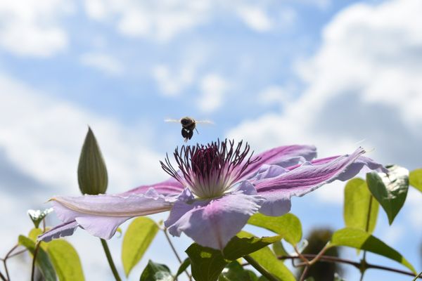 Terra Gardens Nursery & Bark