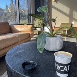 Proxy International Coffee Co. 